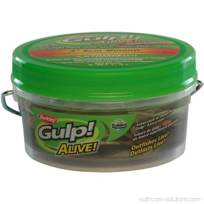Berkley Gulp! Alive! Minnow Assortment Soft Bait 3 Natural, Assorted Colors 000988278